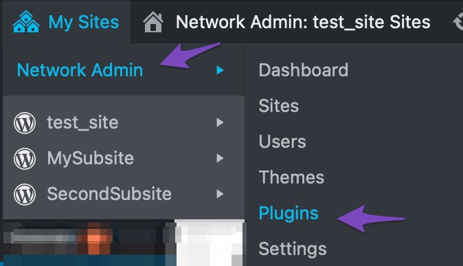 Navigate to the Plugins section in the Network Admin