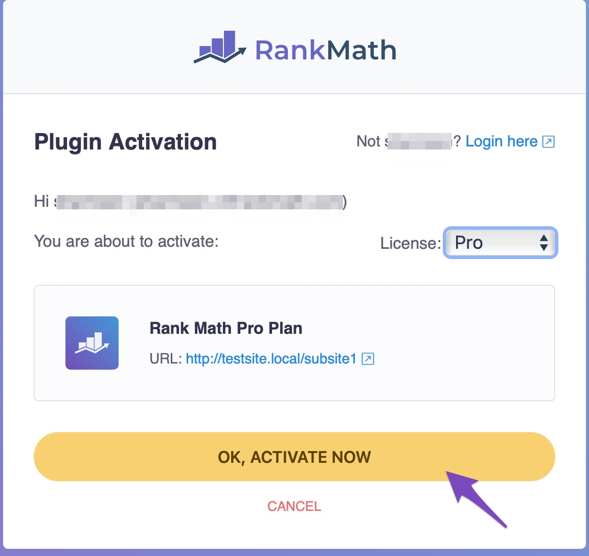 Rank Math PRO plugin activation