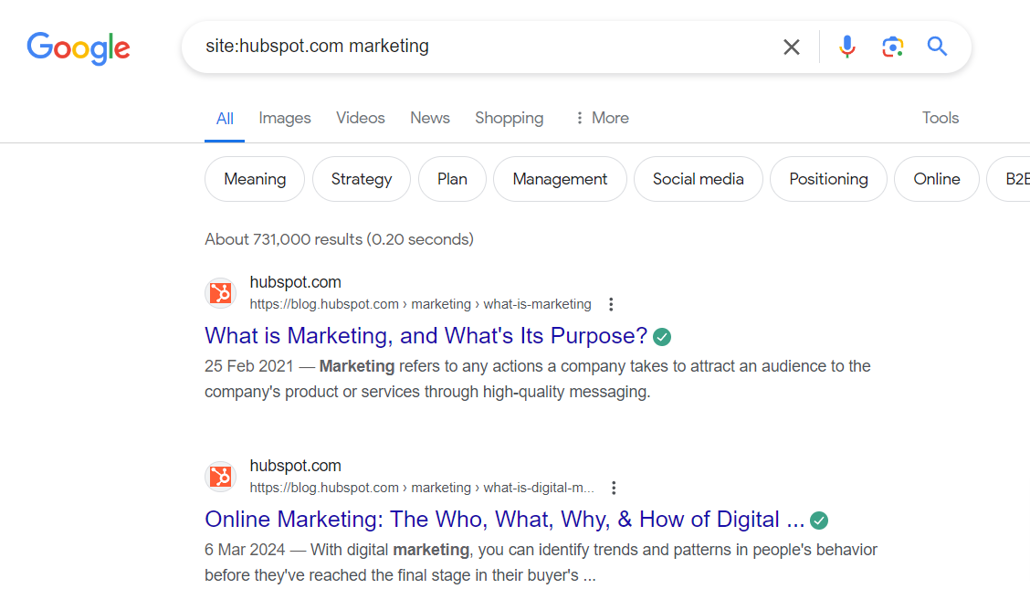 Search for marketing in Hubspot using Google site search